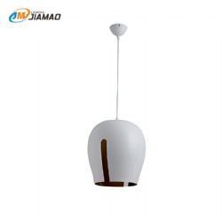 Aluminum Pendent light