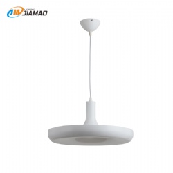 Aluminum Pendent light