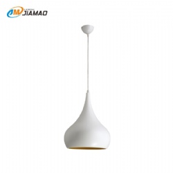 Aluminum Pendent light
