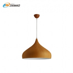 Aluminum Pendent light