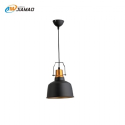 Aluminum Pendent light