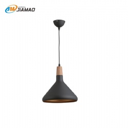 Aluminum Pendent light