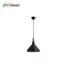 Aluminum Pendent light