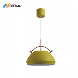 Aluminum Pendent light