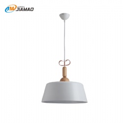 Aluminum Pendent light