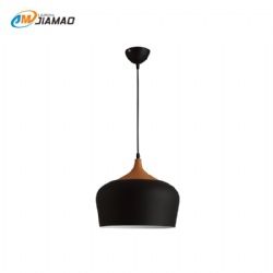 Aluminum Pendent light